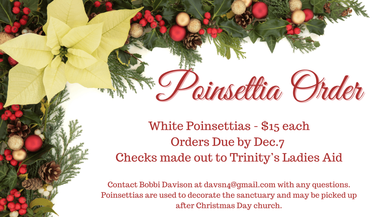 Christmas Poinsettia Orders
