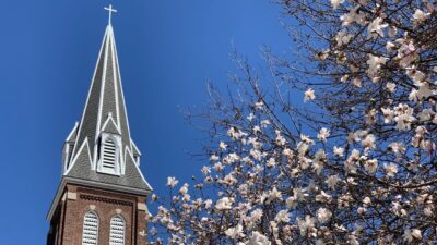 The Eighth Sunday after Pentecost!