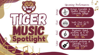 Tiger Music Spotlight
